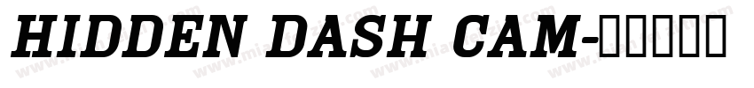 Hidden Dash Cam字体转换